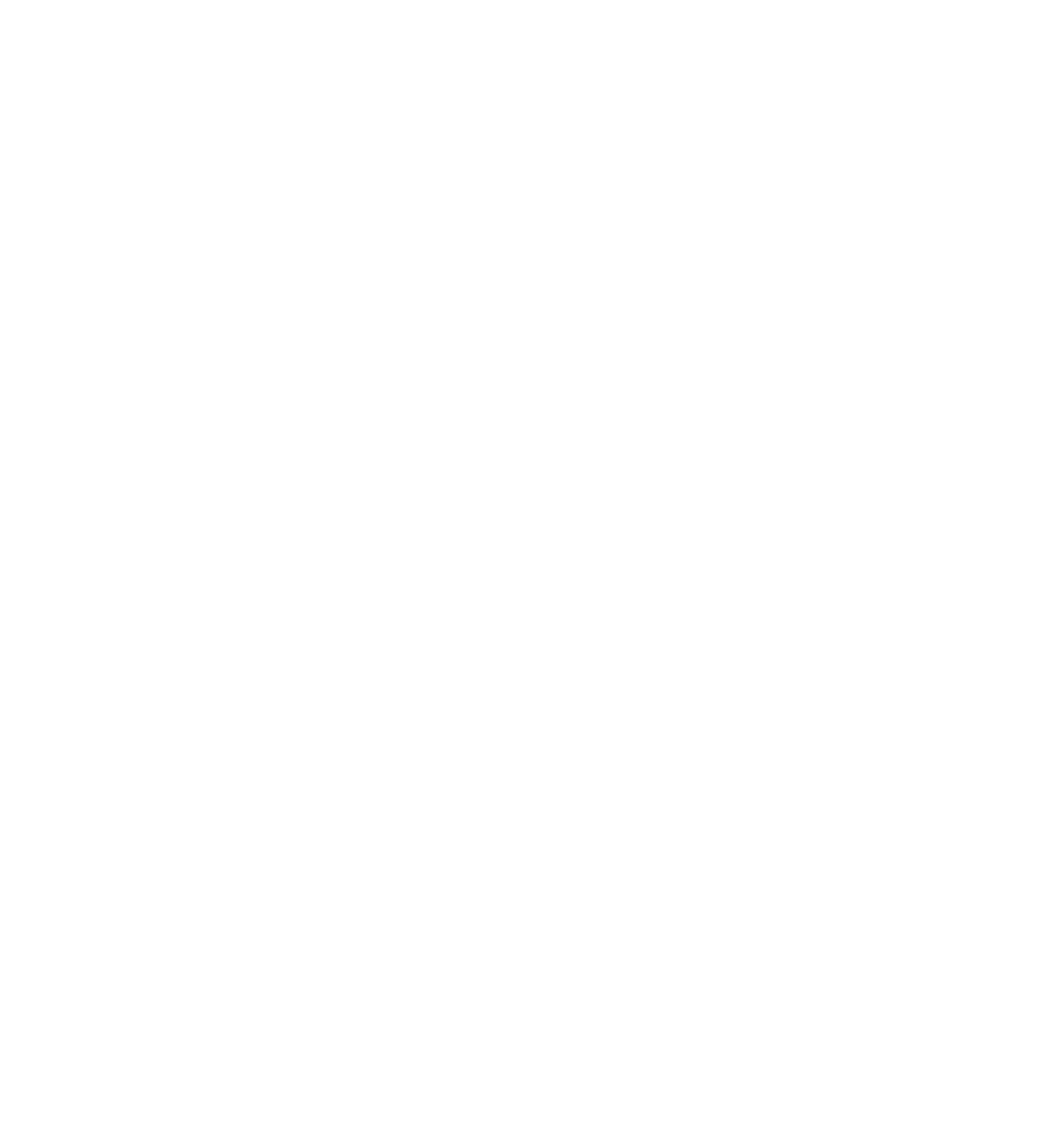 LOGO FLUENGOR_BLANCO LOGO FLUENGOR_BLANCO